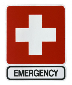 Emergency Arbitrator